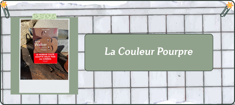 You are currently viewing La Couleur Pourpre
